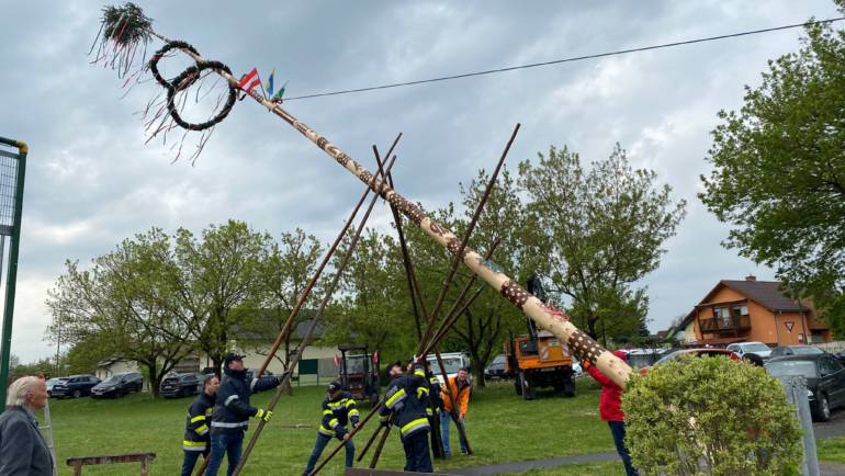 Traditionelles Maibaumaufstellen 2022